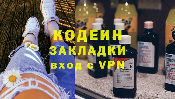 прущие грибы Армянск