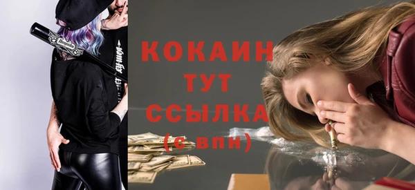 прущие грибы Армянск