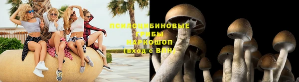 герыч Арсеньев