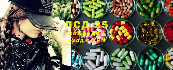 прущие грибы Армянск