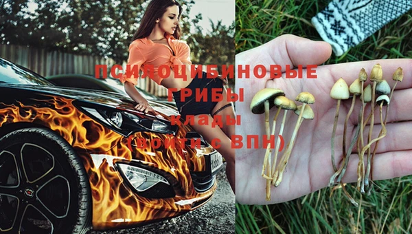 герыч Арсеньев