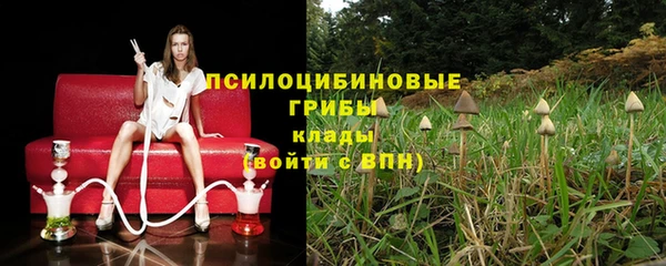 прущие грибы Армянск