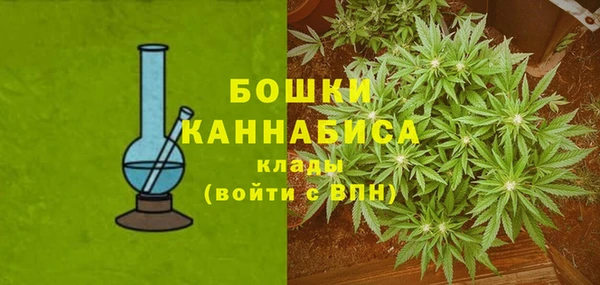 прущие грибы Армянск