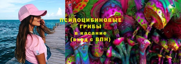 герыч Арсеньев