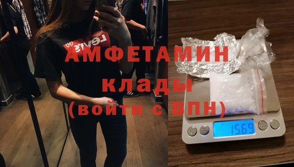 прущие грибы Армянск