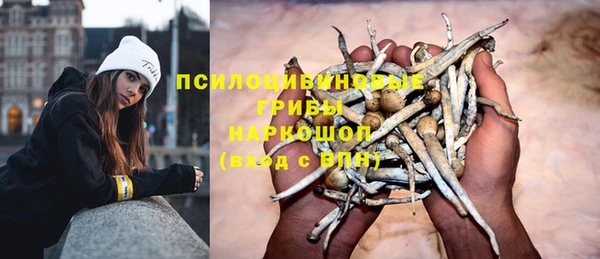 каннабис Аркадак