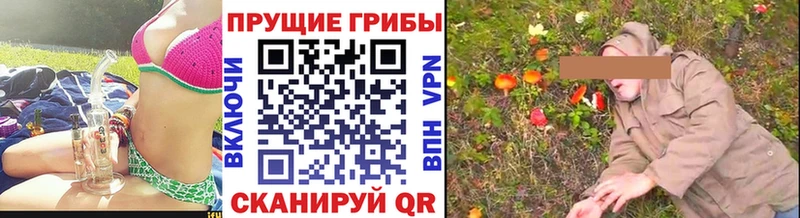 Псилоцибиновые грибы MAGIC MUSHROOMS  цена наркотик  Белорецк 